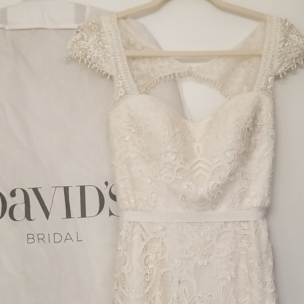 Melissa Sweet David's Bridal wedding gown